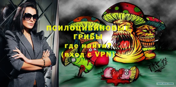 прущие грибы Абдулино