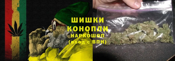 прущие грибы Абдулино