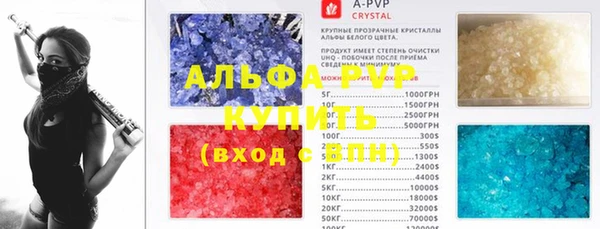 гидра Алексин
