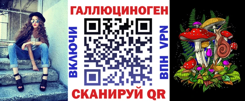Псилоцибиновые грибы Psilocybine cubensis  Ачхой-Мартан 